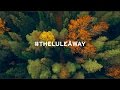 Autumn The Lulea Way