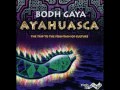 Bodh Gaya Im Rachen Des Jaguars