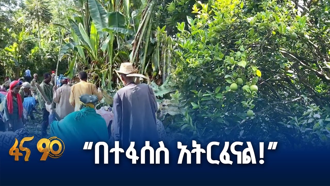 የተጎዳ መሬት መመለስ