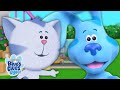 Blue & Josh Meet Periwinkle! 😻 | Blue's Clues & You!
