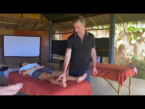 Pontos do Mestre Tung no Meridiano do Estômago e SFL