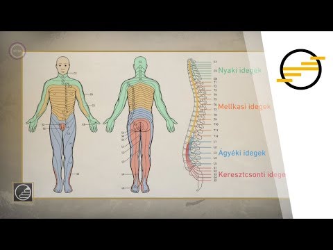 Deformáló ízületi tünetek és kezelés