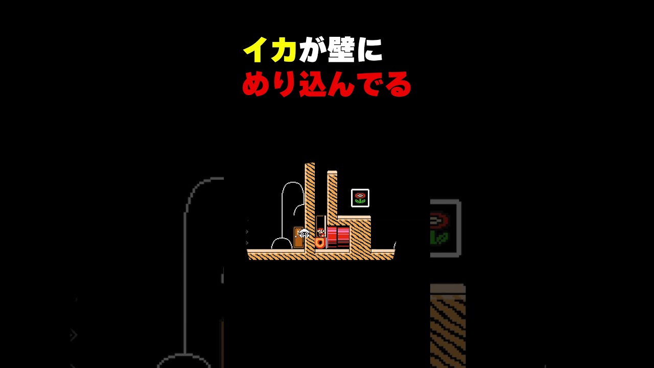 イカが壁にめり込んでるけどどうする？