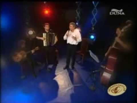 Orosz Zoltán & Bardóczy Attila  Padam   Bruxelles   Autumn leaves   Harmonika   Accordion