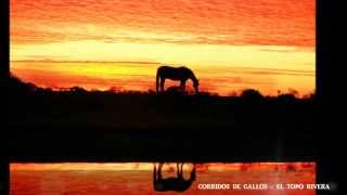 CORRIDOS DE GALLOS EL JUGADOR ANTONIO AGUILAR