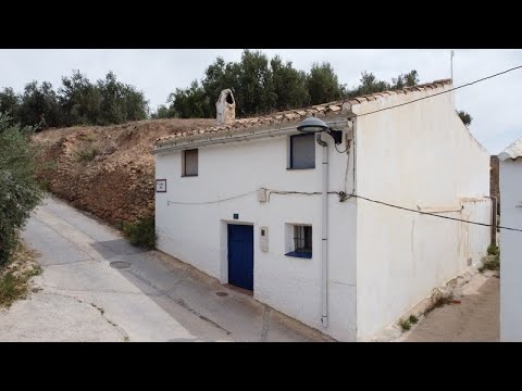 video image
