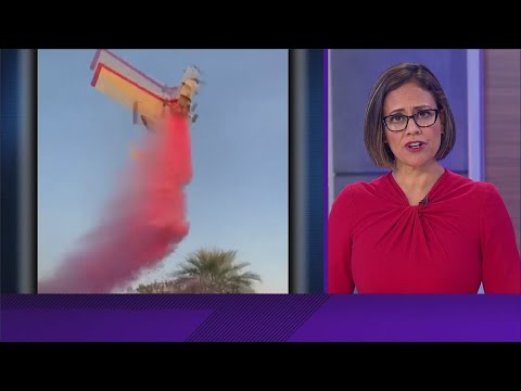 Plane crashes during gender reveal party