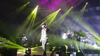 BROS Cat among the pigeons