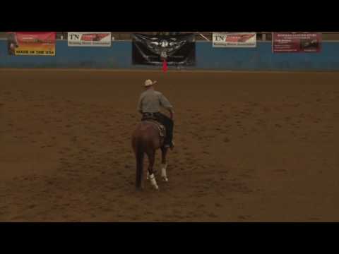 160716 Randy Schaffhauser on Trash N Guns Open Futurity