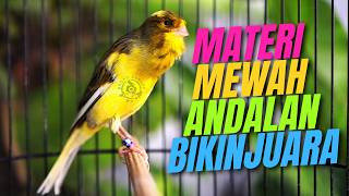 Download lagu Masteran Kenari Isian Blackthroat Gacor Durasi Panjang AHLINYA BIKIN CENGKOK MEWAH JAWARA mp3 Download lagu Masteran Kenari Isian Blackthroat Gacor Durasi Panjang AHLINYA BIKIN CENGKOK MEWAH JAWARA mp3