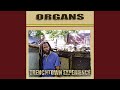 Trenchtown Experience