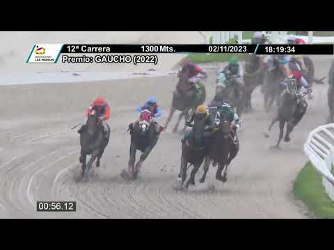 231102 c12 - FLYING LEOPARD - HIPODROMO LAS PIEDRAS