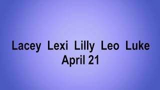 Video preview image #1 Golden Retriever Puppy For Sale in Germanton, TN, USA