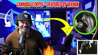 Download lagu Cannibal Corpse - Devoured by Vermin - Producer Reaction mp3