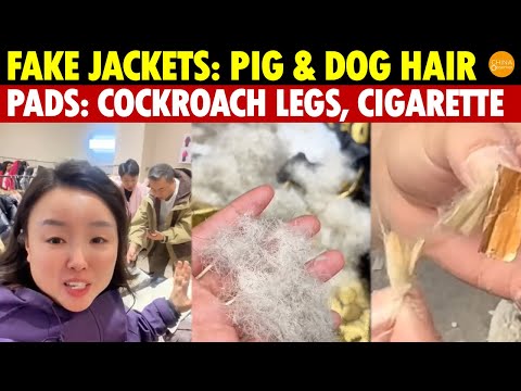 Fake Down Jackets in China Use Pig & Dog Hair; Sanitary Pads Have Cockroach Legs, Cigarette Filters