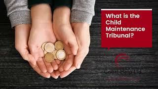 What is the Child  Maintenance Tribunal | Court Help Limited