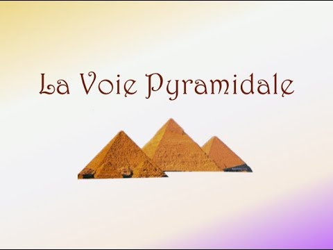 Neurofacile 1 : La Voie Pyramidale.