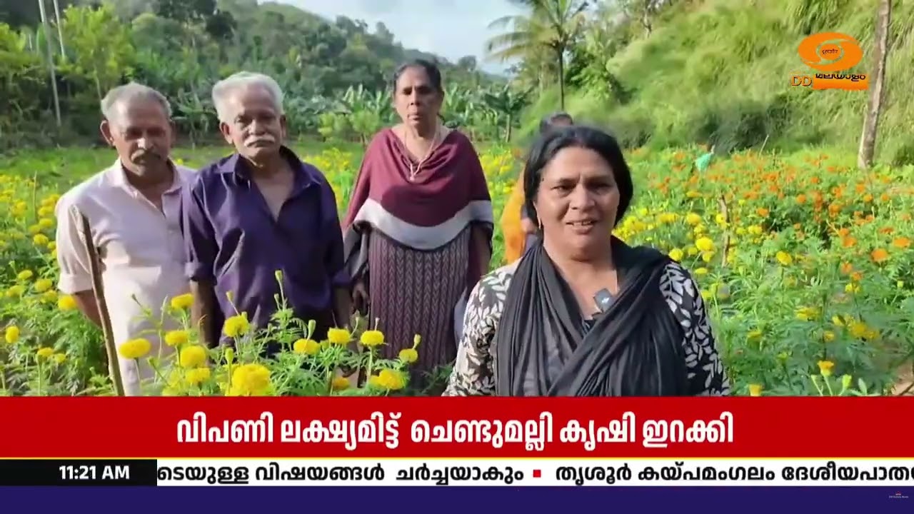 ഓണവിപണി ലക്ഷ്യമിട്ട് കൃഷി ചെയ്ത പൂക്കൾ  പാകമായത് ഓണ?