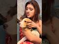 Anjali Arora Latest Youtubeshorts Anjaliarora Vairalvideo Trendingshorts Beautiful