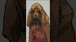 The Bloodhound Gang - A Lap Dance Is So Much Better