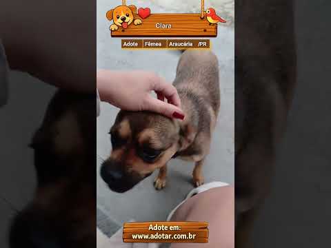 Vídeo de Clara