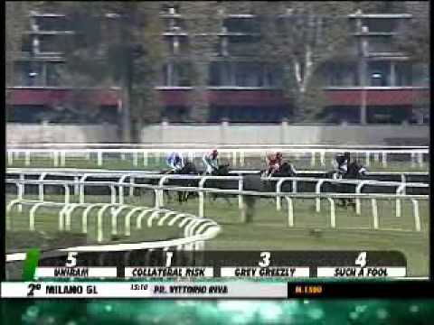 22/09/2013, Milano , Premio Vittorio Riva