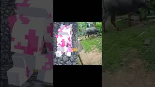 Download lagu Animasi vs Original - Sapi Di Sumur [Ft BANGJBLOX & MOMON] mp3