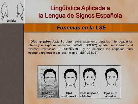 Cómo signar Fonología en LSE