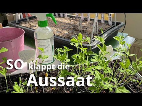 Karl Plobergers Aussaat-Geheimnisse für Biogärtner