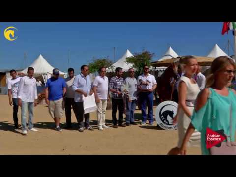 2 nd place, N.61 DELIGHT'S DIVAH RB - MENTON 2017 - Senior Female Championship (Class 13)