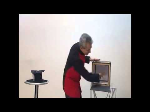 Everything to 4 Dove Cages by Tora Magic