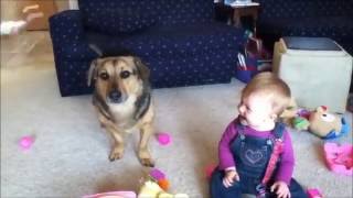 Kids Funny With Animal