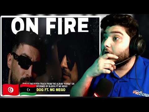 Blidog Ft. MC MEGO - On Fire REACTION 🔥👑🔥