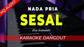 Download lagu SESAL || KARAOKE || ELVY SUKAESIH || DANGDUT || NADA PRIA/COWOK - HQ AUDIO mp3 Download lagu SESAL || KARAOKE || ELVY SUKAESIH || DANGDUT || NADA PRIA/COWOK - HQ AUDIO mp3