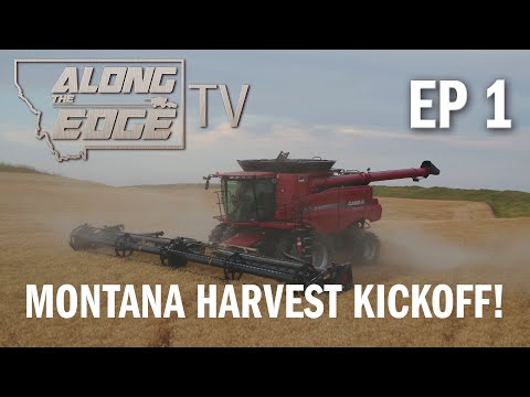 2020 Wheat Harvest Begins!