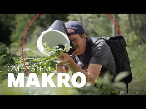 Auf Makrofotografie-Tour mit Florian Dzula und OM System