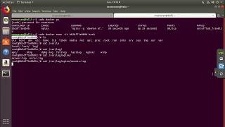 How to get docker container&#39;s shell