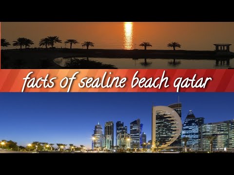 Facts of sealine beach Qatar #katara #sealine #travel #katara #vlog #light #wakrah #alkhorebeach