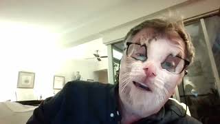 Cats of South London