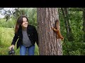 Baby Squirrel’s Release to the Wild doesn’t go to plan (Episode 5)