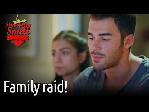 Family Raid! - Strawberry Smell (English Subtitles) | Cilek Kokusu