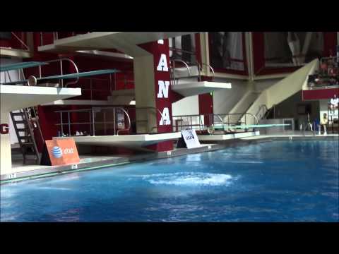 2015 USA Diving World Championship Trials