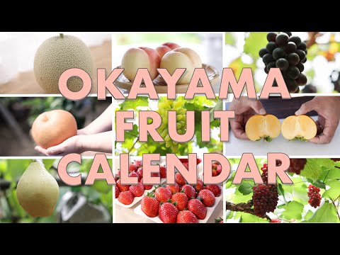 OKAYAMA FRUIT CALENDAR