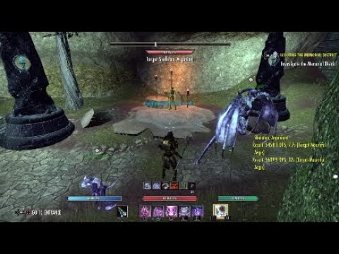 IA vs Siroria - Eso Pet Sorc Dps Tests
