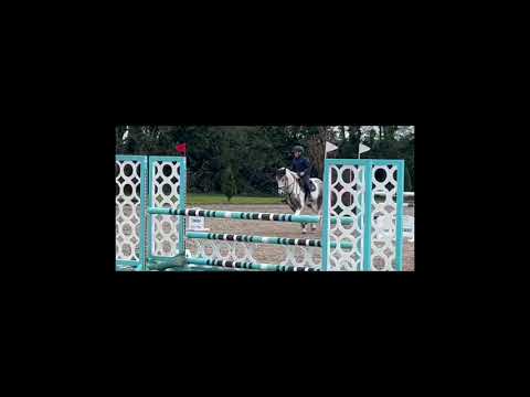 Future 138cm top track pony - Image 2