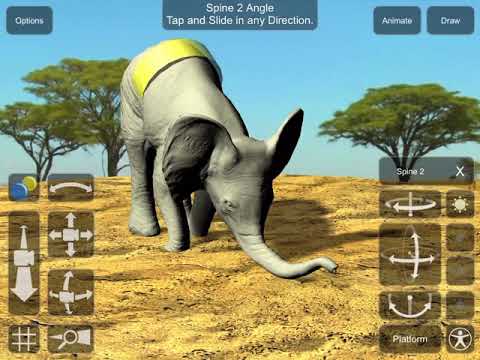 Ultimate elephant rage