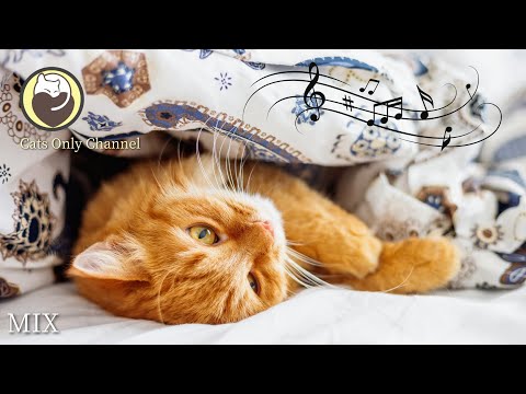 Calming Music for Nervous Cats - Stress Relief, Deep Sleep, Relaxation Music