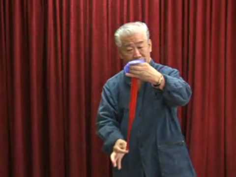 MC Auto Silk Changer by Mikame - Trick at Penguin Magic