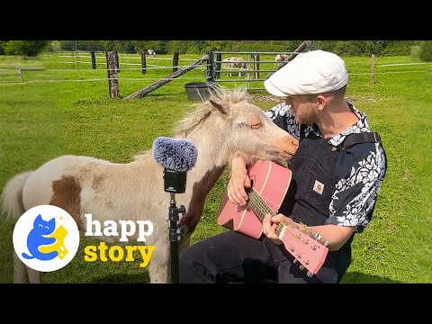 This Man Sings To All The Animals He Meets! 🎶🐾| HAPP