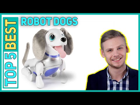 Best Robot Dogs in 2022 [Top 5 Best Robot Dogs]